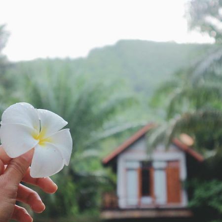 Baanraichaykhaofarmstay Nakhon Si Thammarat Eksteriør bilde